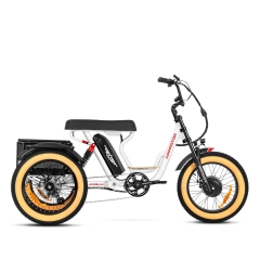 Soletri M-366x etrike in white